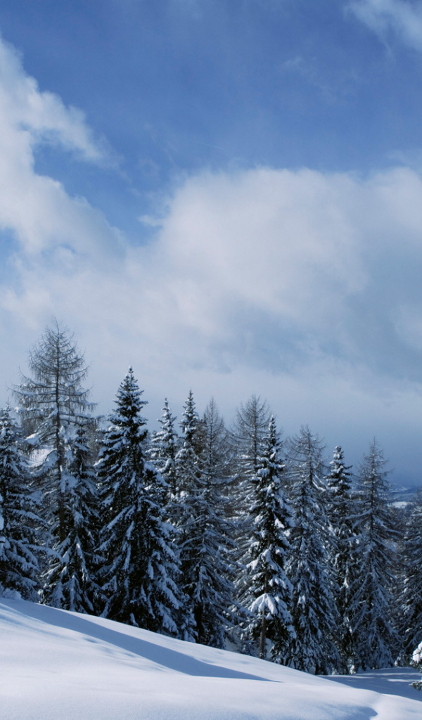 Зимний отдых на горнолыжном курорте Валь Гардена, Италия