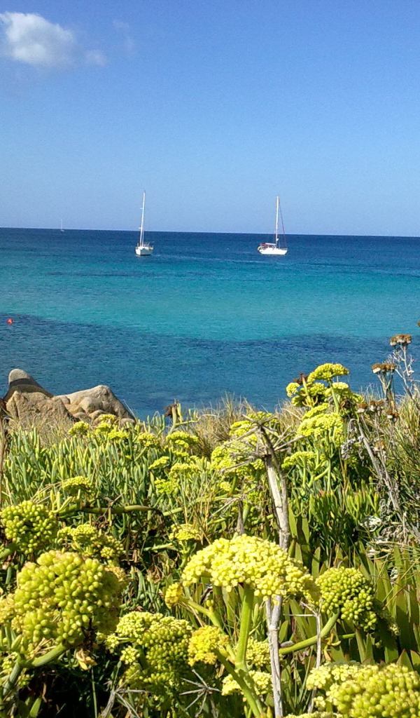 Яхты в заливе на курорте в Пьетра Лигуре, Италия