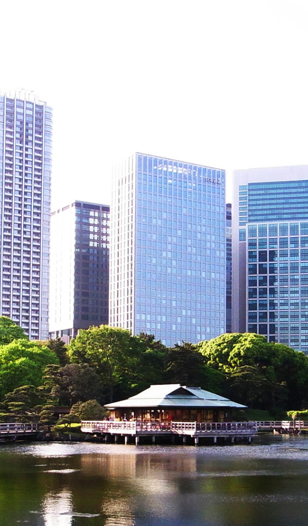 Озеро на фоне зданий в Токио