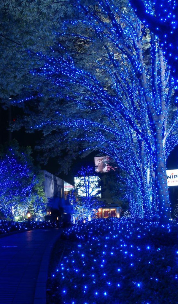 Деревья в парке в Токио