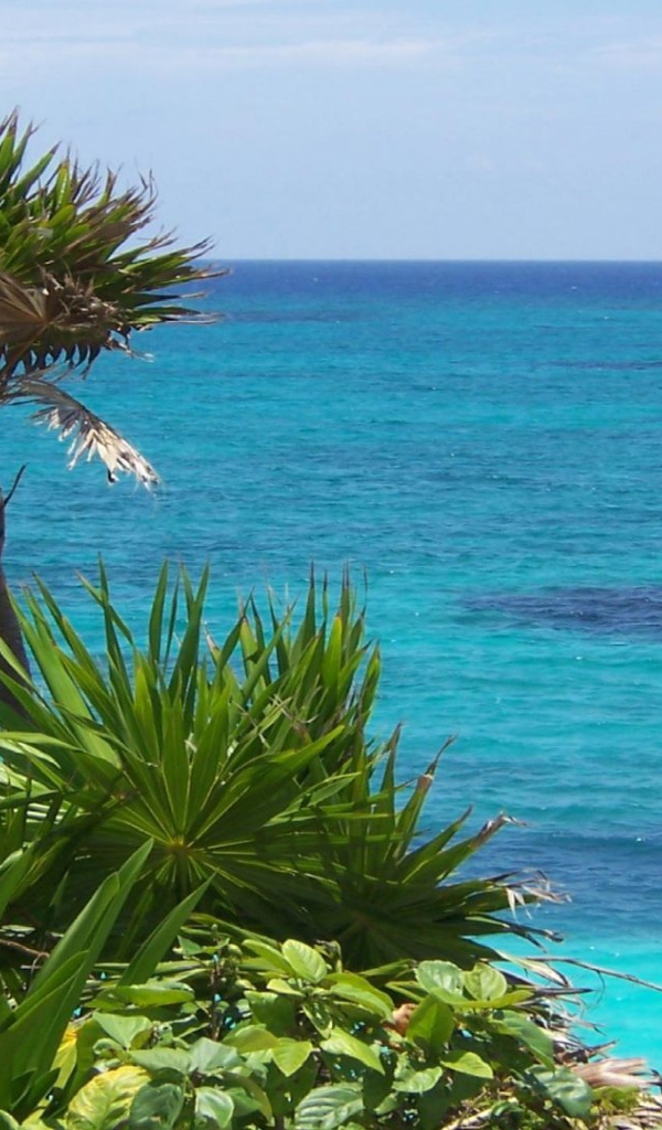 Солнечное Мексика