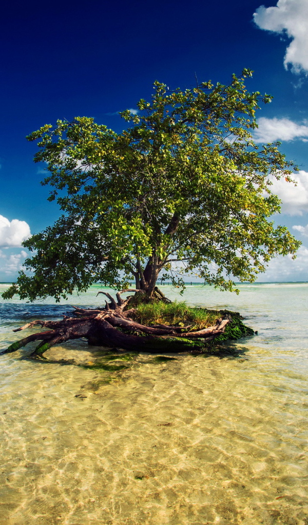 Потрясающое Мексика