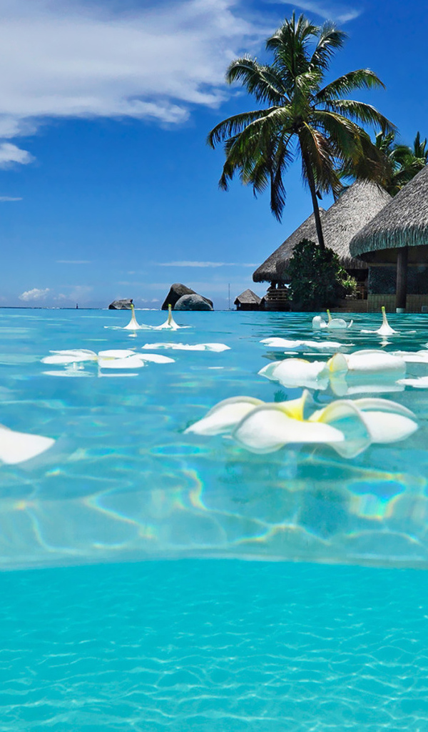 Популярная страна Мексика