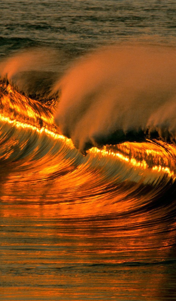 Великолепное место в Мексика