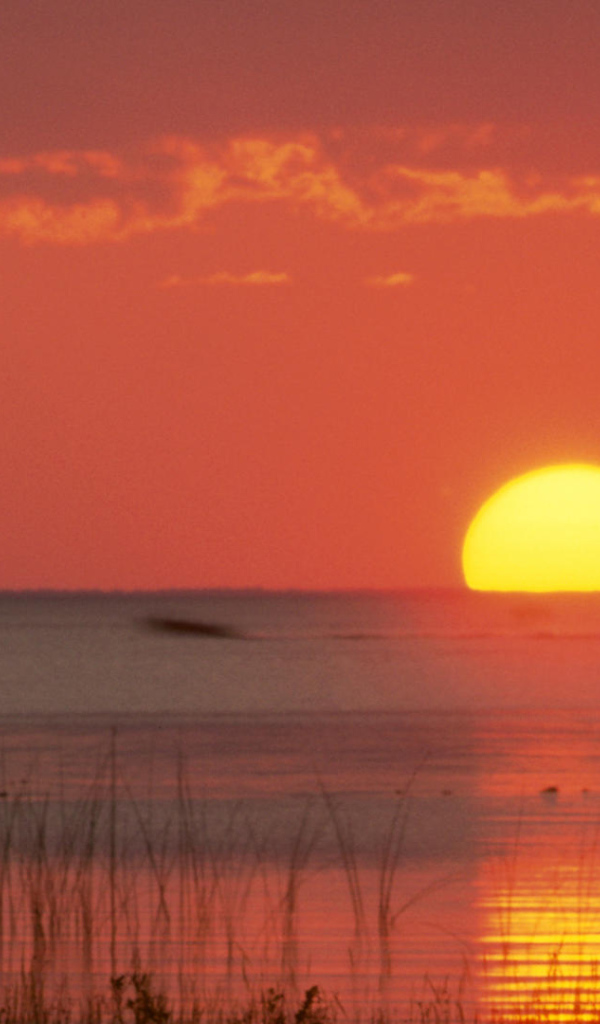 Замечательное место в Мексика