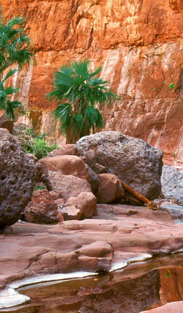 Гран-Плас в Мексика