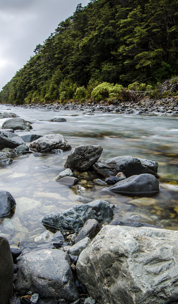 Река в Новой Зеландии