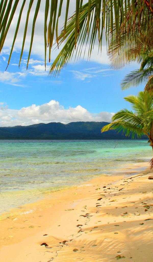 Эффектное Панама