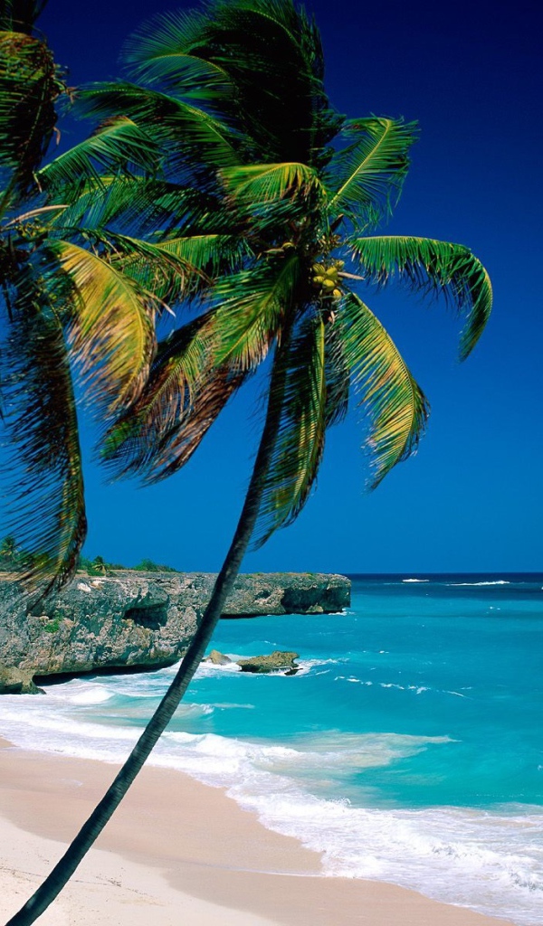 Захватывающие дух Панама