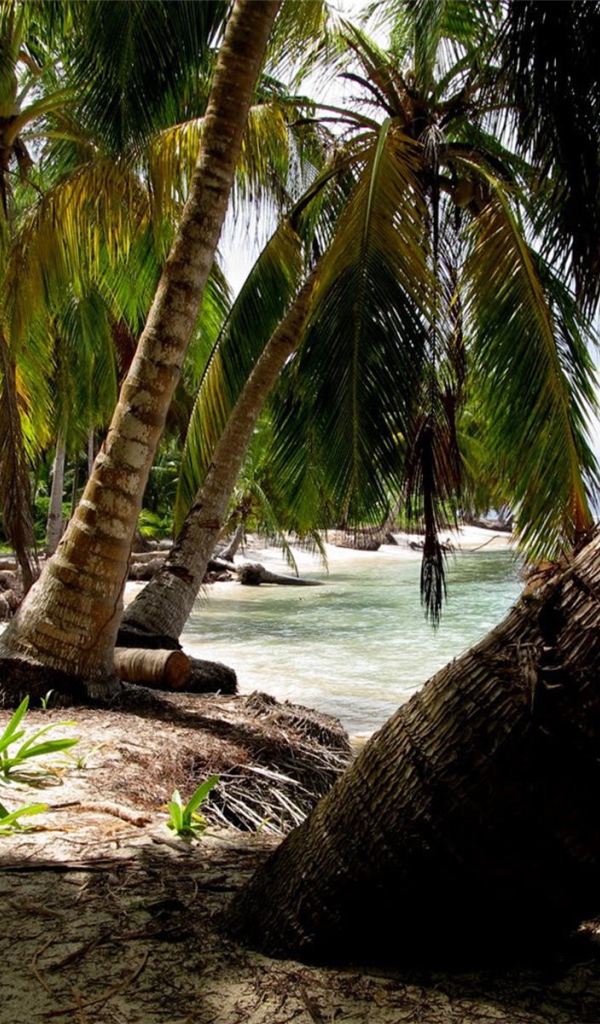 Замечательная страна Панама