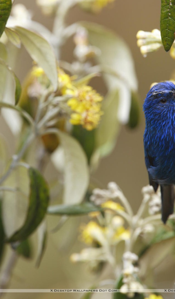 Захватывающие дух Перу