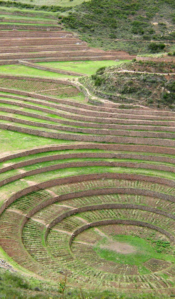 Элегантное Перу