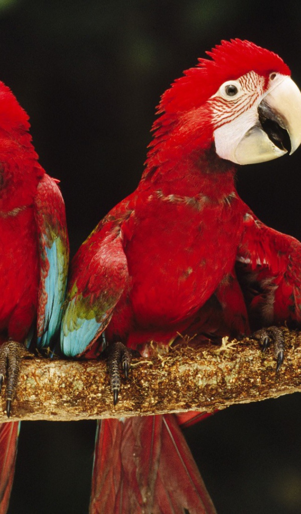 Впечатляющие место в Перу