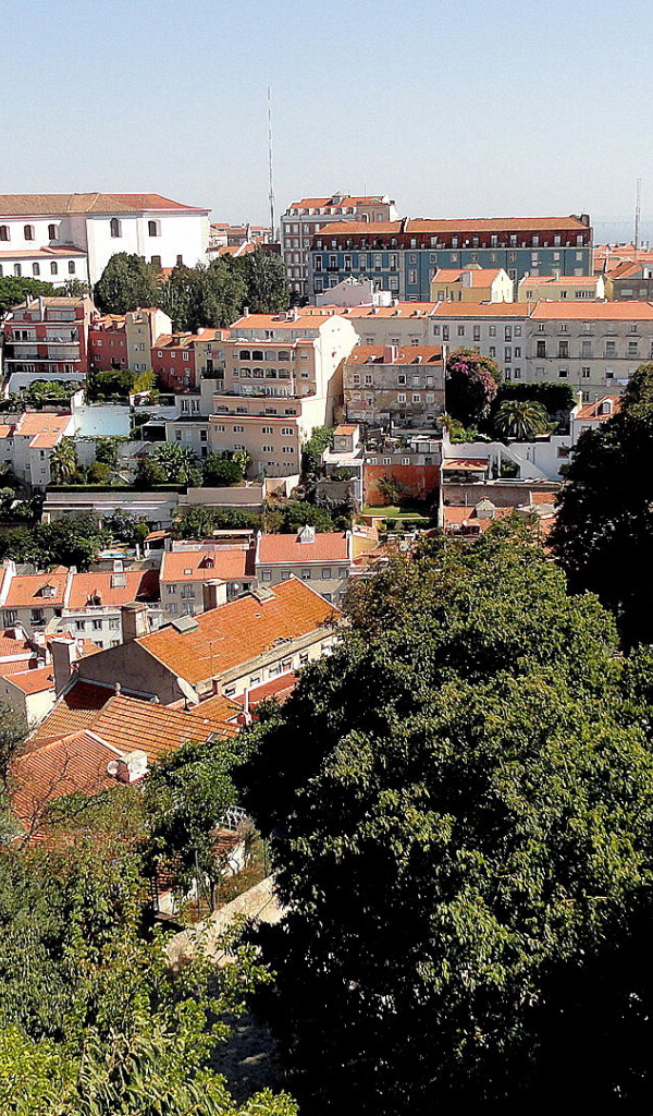 Trees on the background of Lisbon
