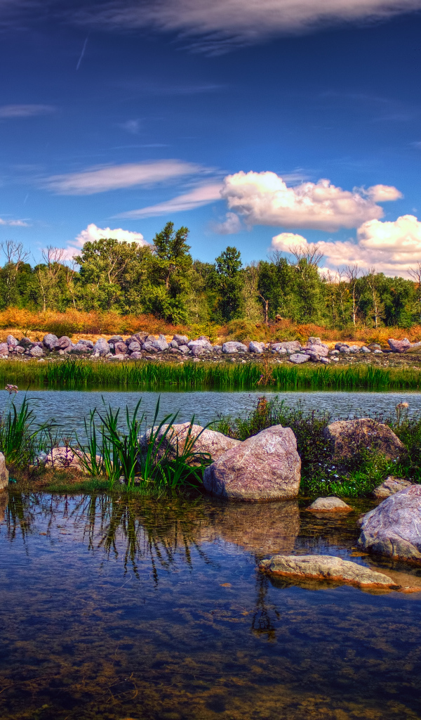 Парк в городе Бакэу, Румыния