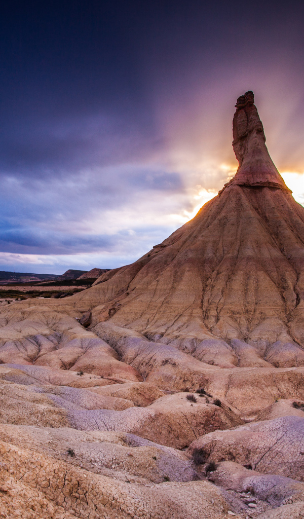 Национальный парк Барденас-Реалес, Испания