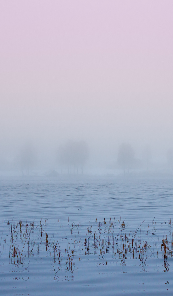 Туман в Швеции