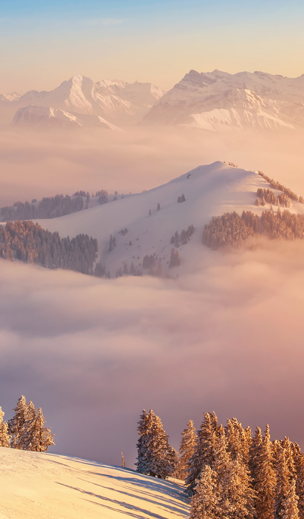 Гора Риги, Швейцария