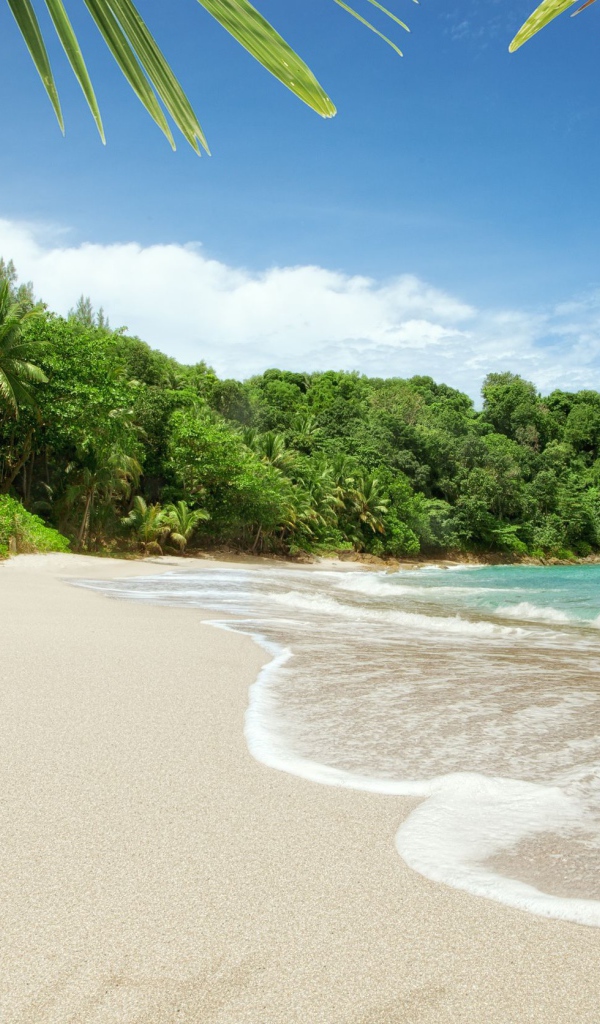 Пляж на острове Тао, Таиланд