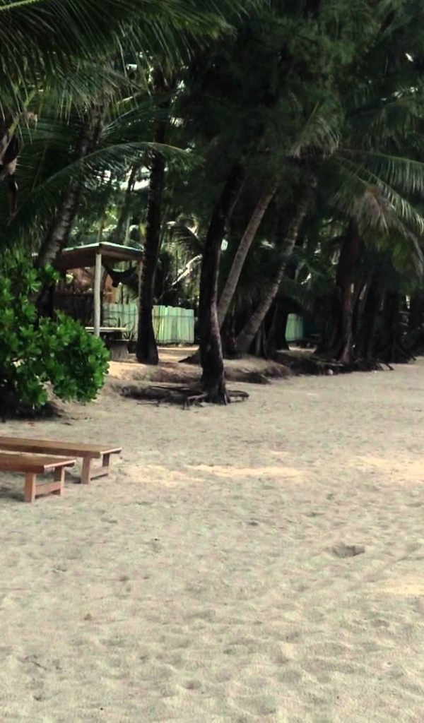 Золотой пляж на острове Ко Куд, Таиланд