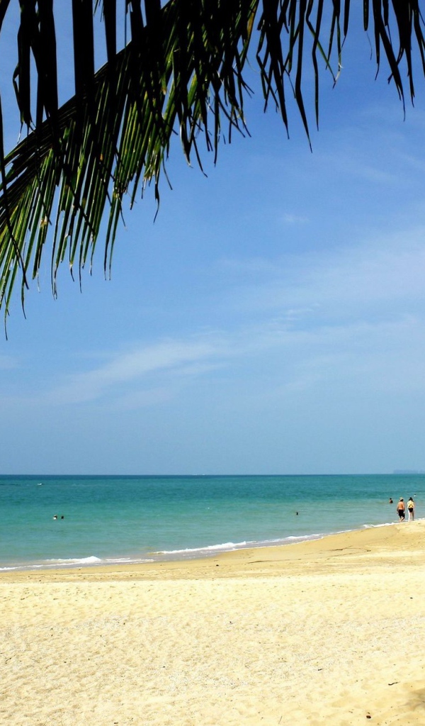 Золотой пляж на острове Самуи, Таиланд