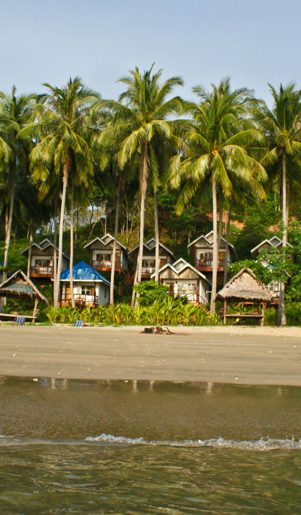 Дома среди пальм на острове Тао, Таиланд