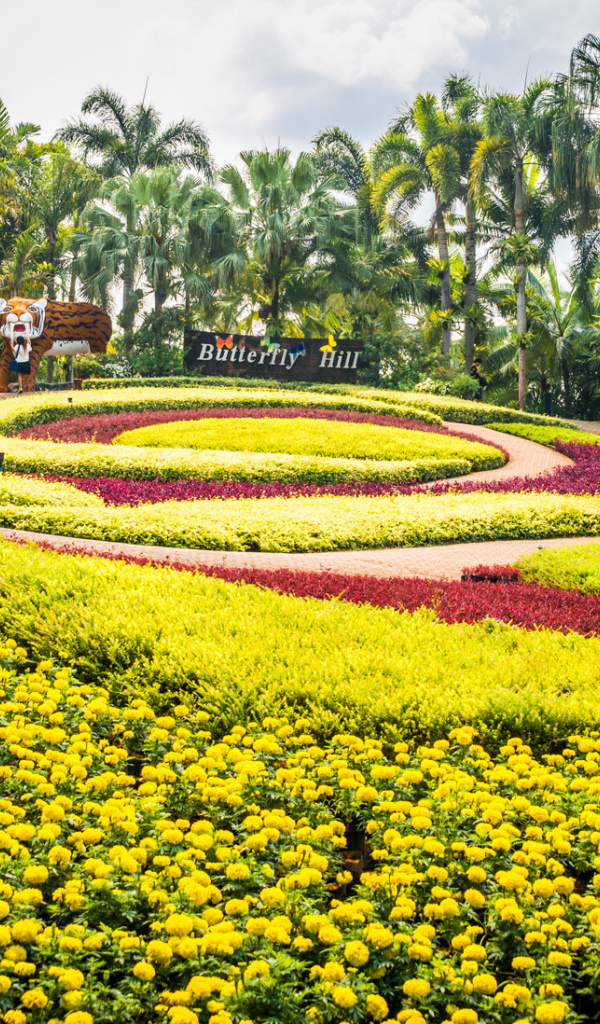 Великолепный сад на курорте в Паттайе, Таиланд