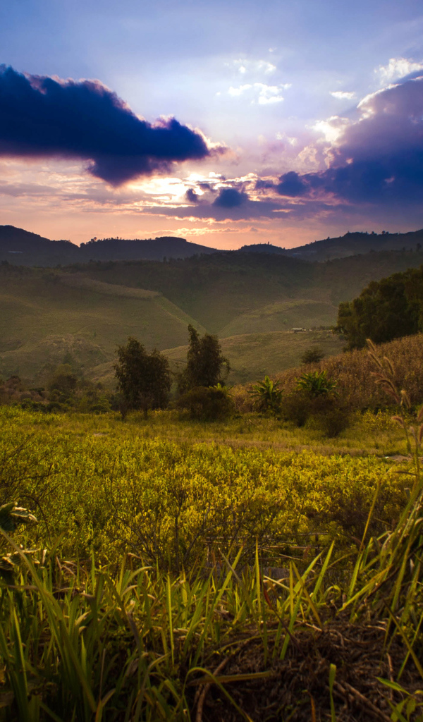 Недалеко от деревни Мае Салонг в Таиланде