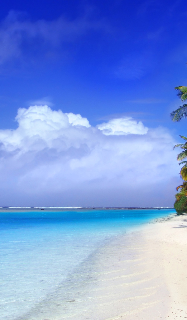 Пальмы на пляже в Пхукете, Таиланд