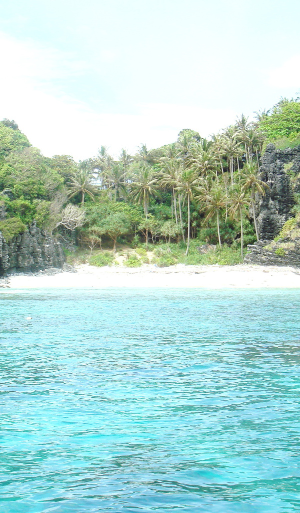 Пальмы на берегу в Пхукете, Таиланд