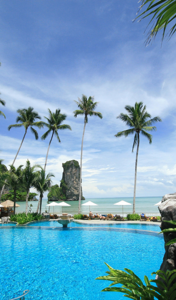 Бассейн в окружении пальм в Пхукете, Таиланд