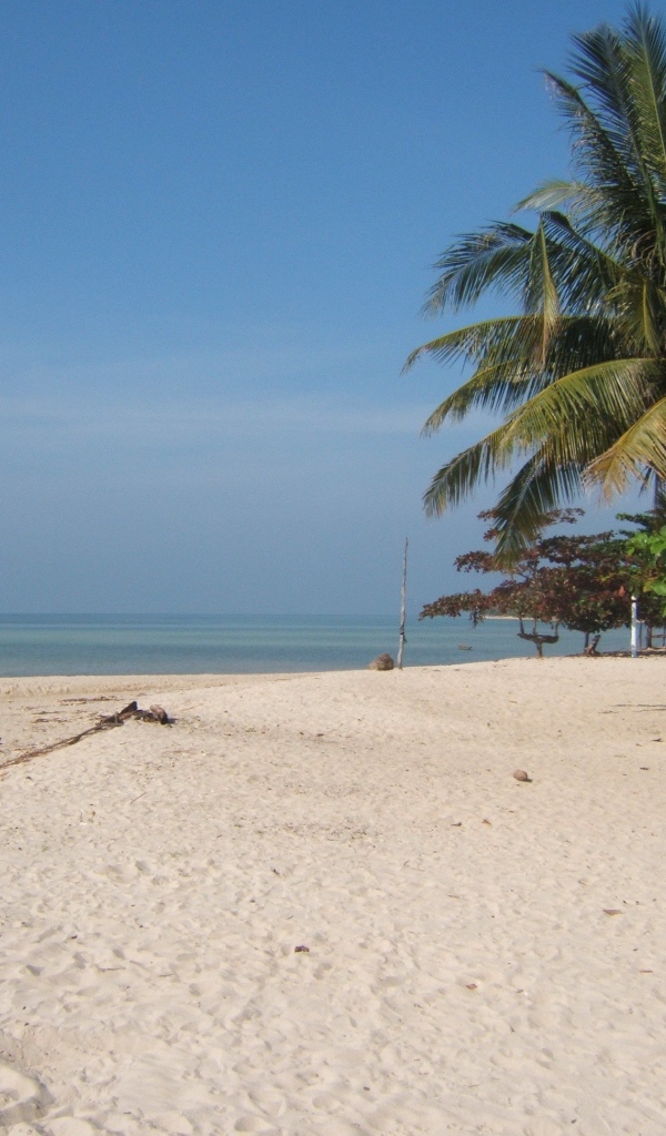 Песчаный пляж на острове Панган, Таиланд