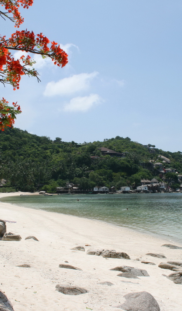 Песчаный пляж на острове Тао, Таиланд