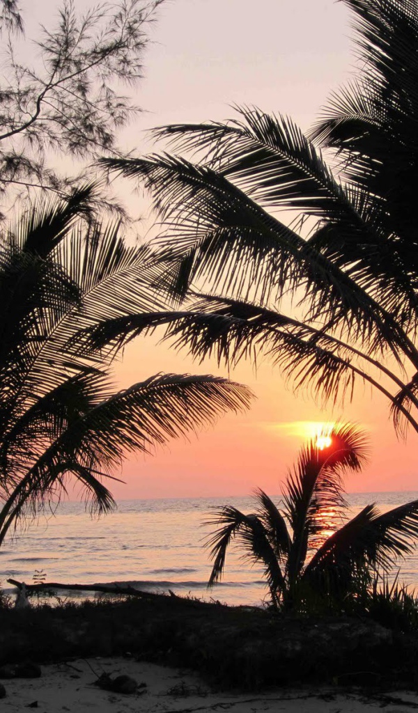 Закат среди пальм на острове Ко Куд, Таиланд