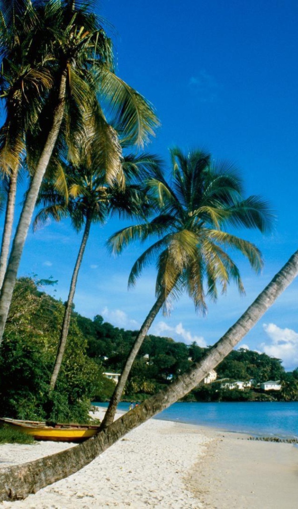 Летний отдых на курорте в Паттайе, Таиланд