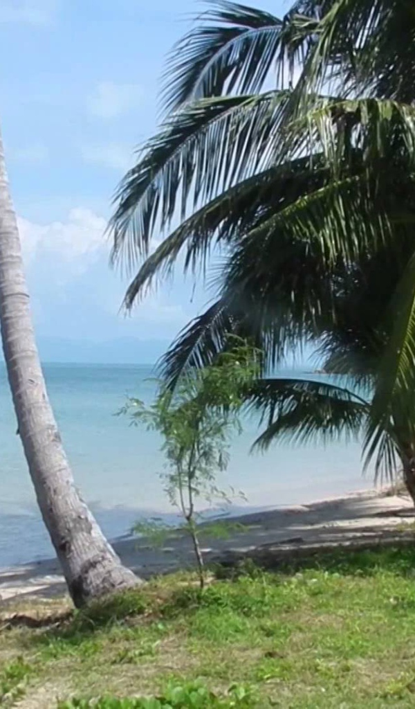 Летний отдых на острове Самуи, Таиланд