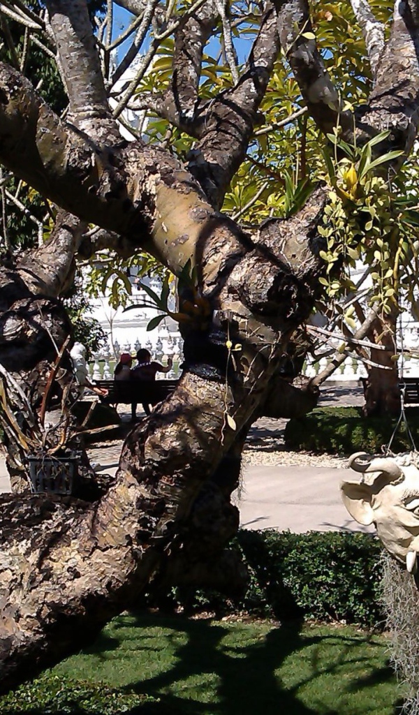 Дерево со скульптурами на курорте Чианг Рай, Таиланд