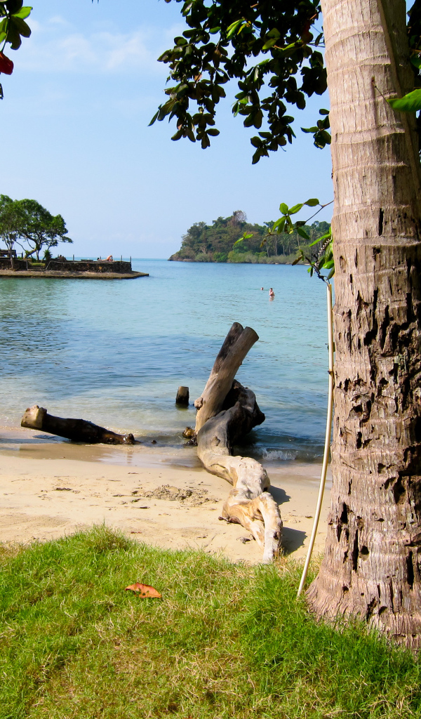 Деревья на пляже на курорте Районг, Таиланд