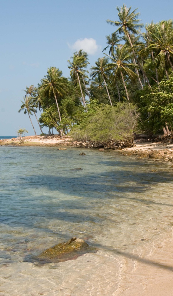 Дикий пляж на острове Панган, Таиланд