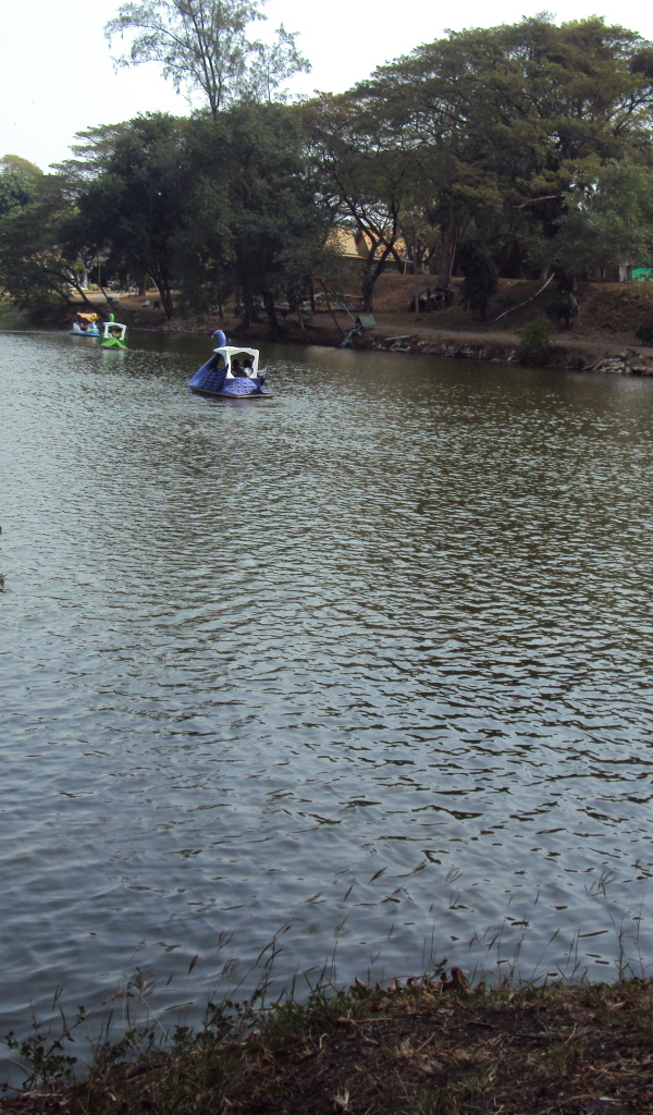 Зоопарк на курорте Лопбури, Таиланд