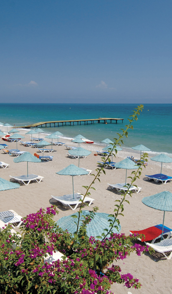 Цветущий пляж в Кушадасы, Турция