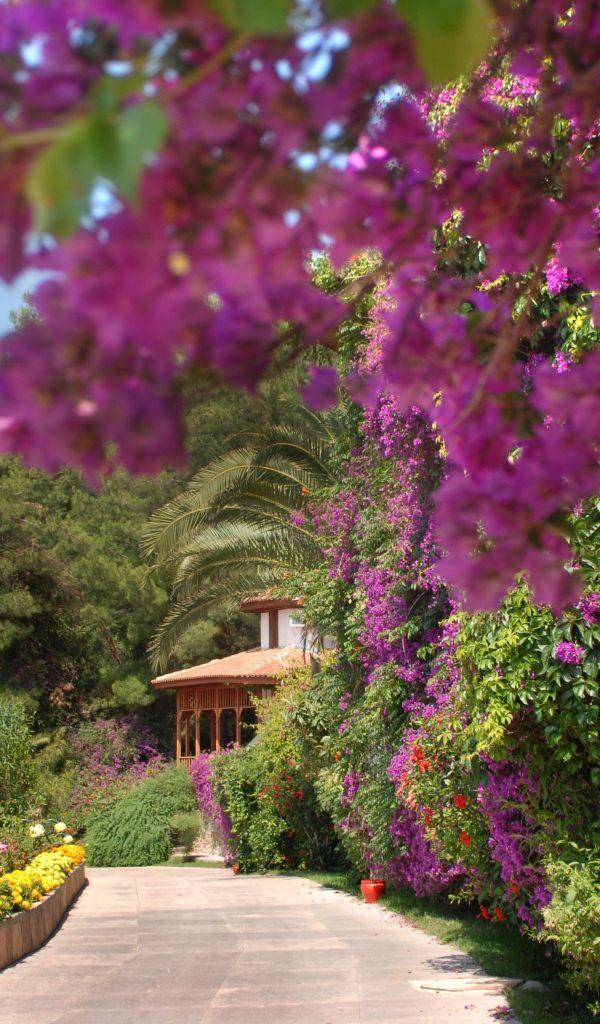 На курорте Фетхие, Турция