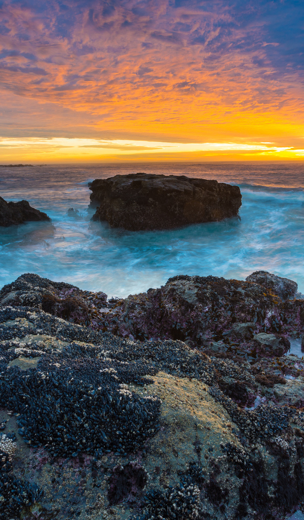 Красивая природа в Орегоне,США