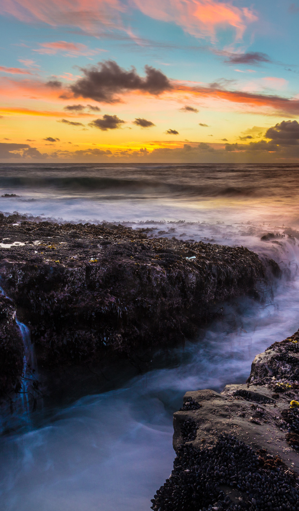 Парк штата Кейп Араго, США