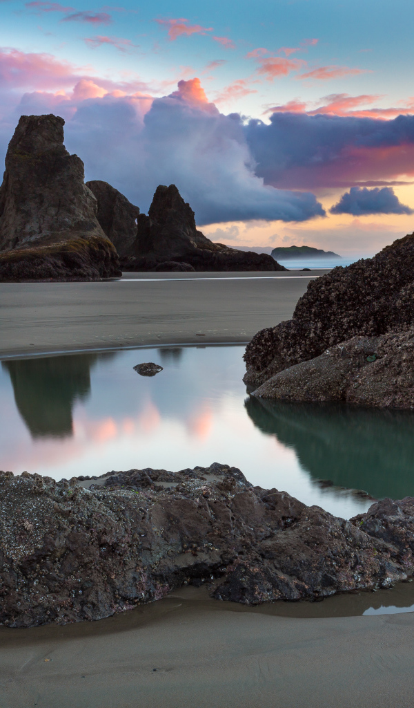 Побережье возле города Бэндон, США