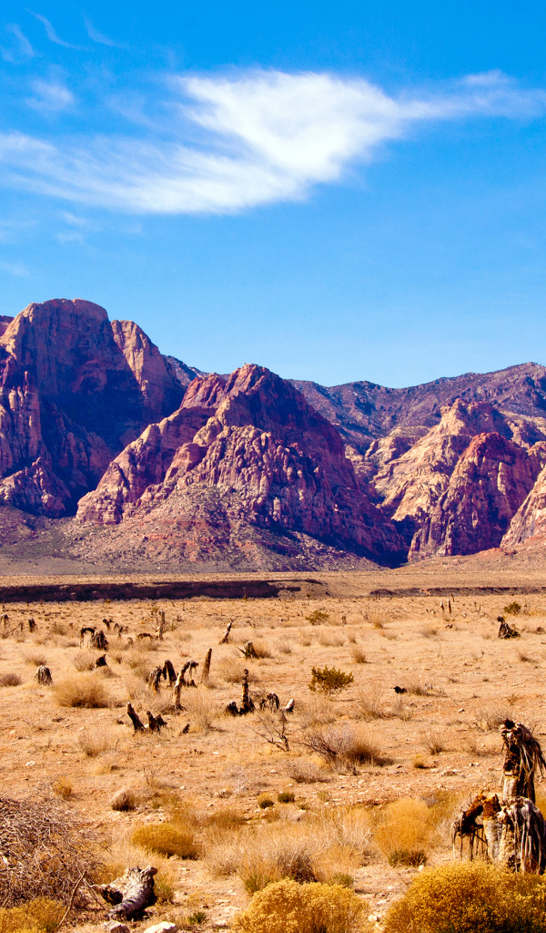 Пустыня в Неваде США