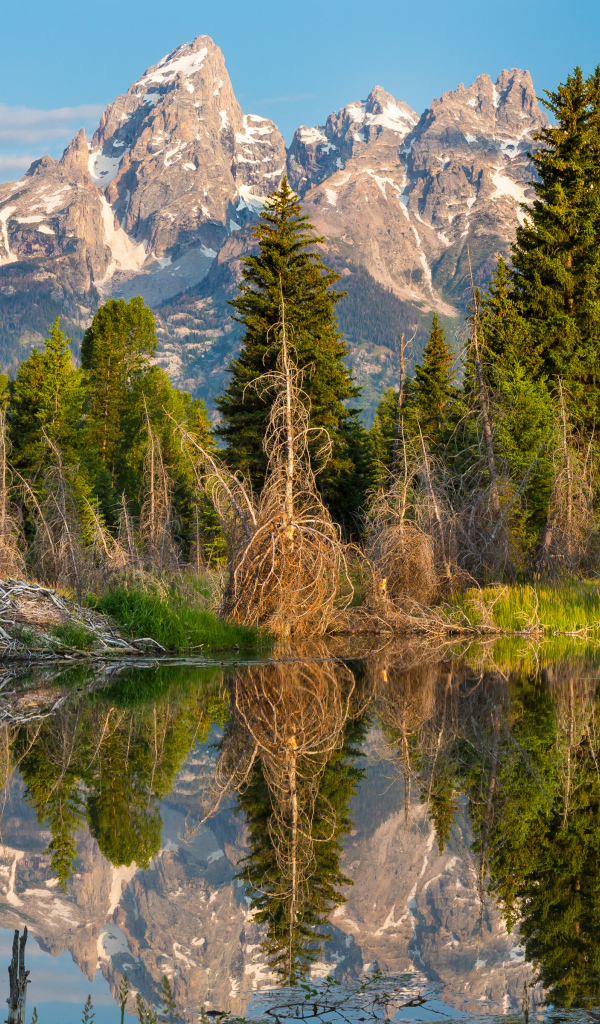 Национальный парк Гранд Титон в США