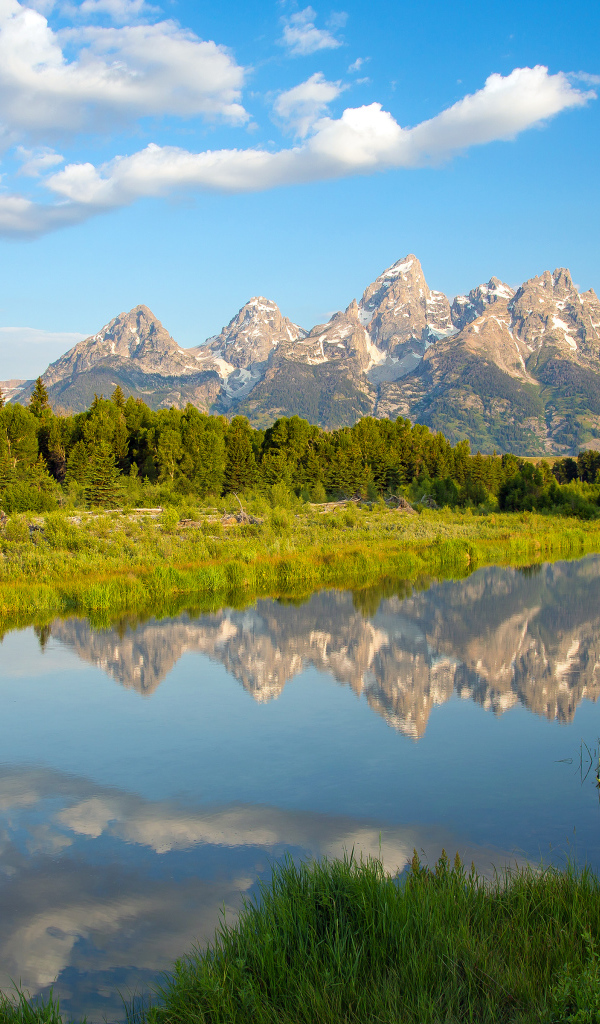 Утро в парке Гранд-Титон в Вайоминге, США