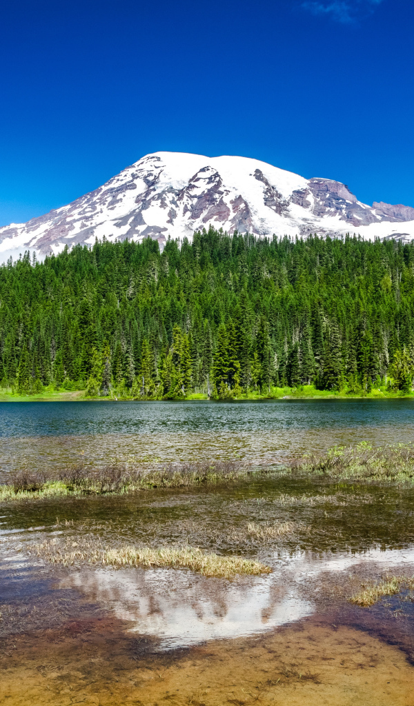 Национальный парк Маунт-Рейнир недалеко от Сиэтла, США