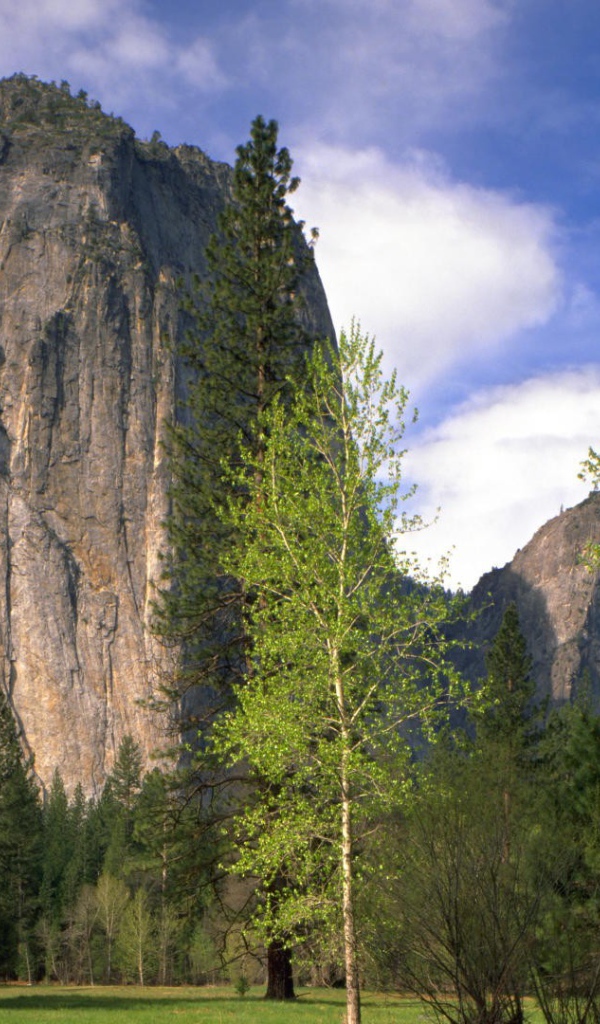 Национальный парк Калифорнии